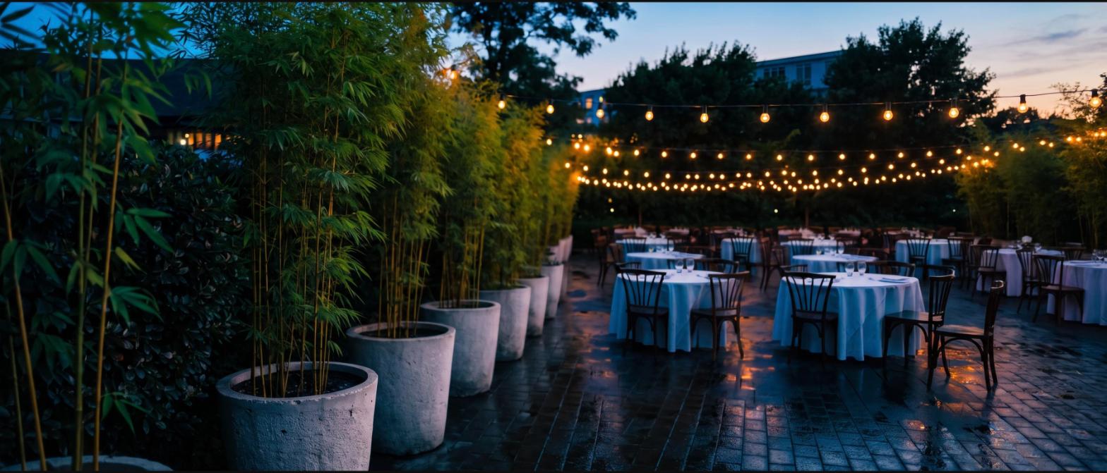 A row of tall bamboo in matching planters screening the edge of an outdoor event terrace at dusk with string lights and set tables